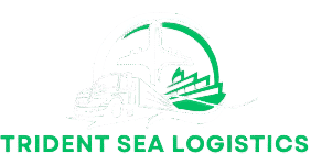 blue flat simple illustrative global transport logo 1 edited (3)